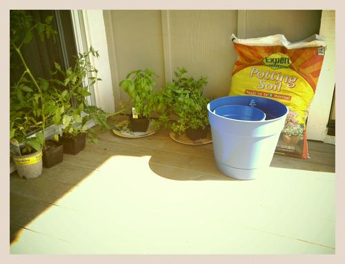 My humble beginnings towards my goals